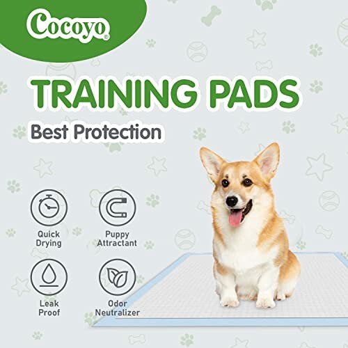 Cocoyo Dog Training Pads with Corgi, Quick Drying, Puppy Attractant, Leak-Proof, Odor Neutralizer Features